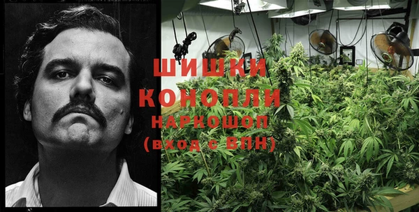 крисы Балабаново