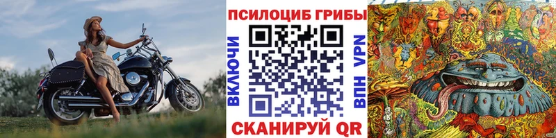 Галлюциногенные грибы Psilocybe  ссылка на мегу вход  Оса 